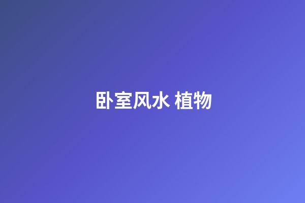 卧室风水 植物